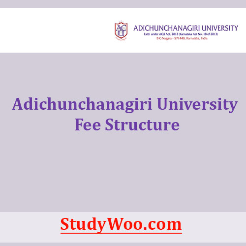 Adichunchanagiri University Fee structure