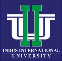 Indus International New Logo