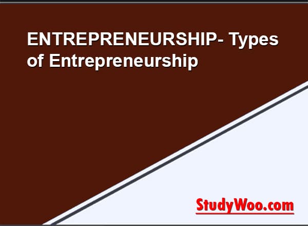 How to Become an Entrepreneur: Type of Entrepreneur