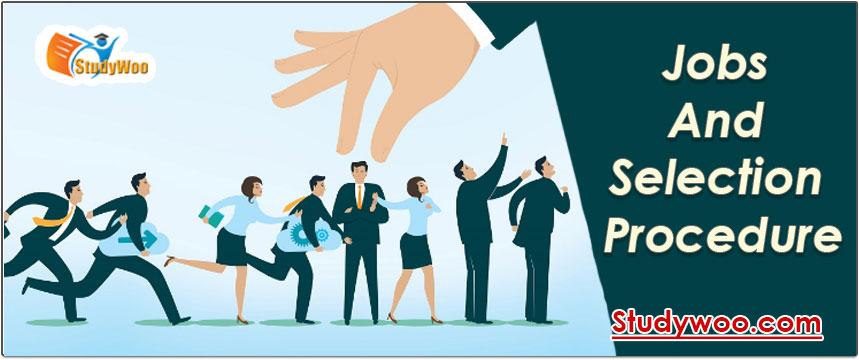 Jobs and Selection Procedure