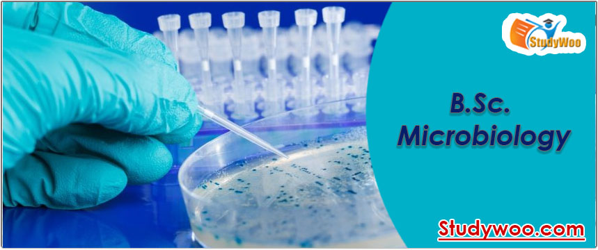 B.Sc. Microbiology after 12th