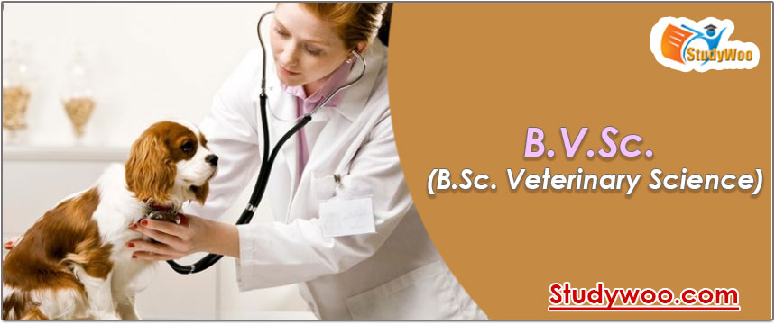 B.V.Sc. (B.Sc. Veterinary Science) after 12th